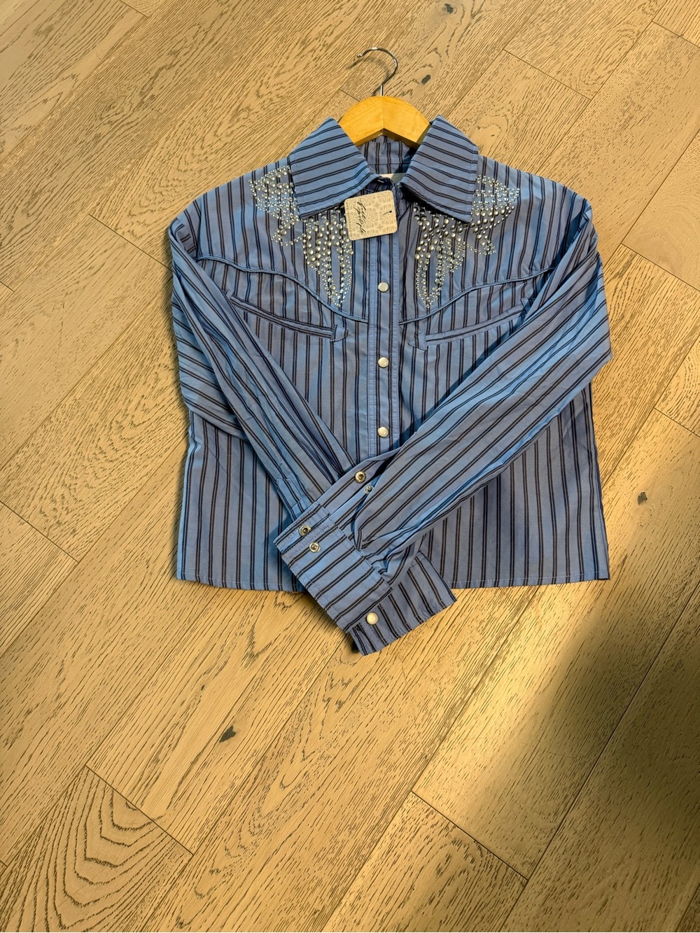 Free People Blue Striped Western Button-Down Shirt with Rhinestone Yoke